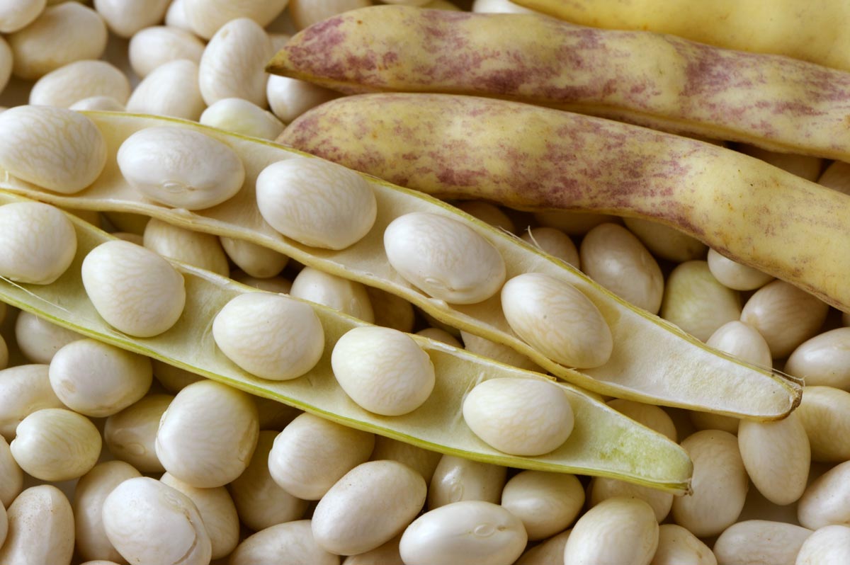 Dosage pâtes par personne : quantité idéale pour vos repas - Oh My Food